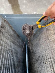 Coil_Cleaning_Residential